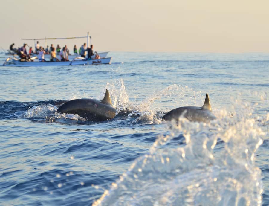 Panglao: Island Hopping w/Balicasag (Shared) - What to bring for a more comfortable morning