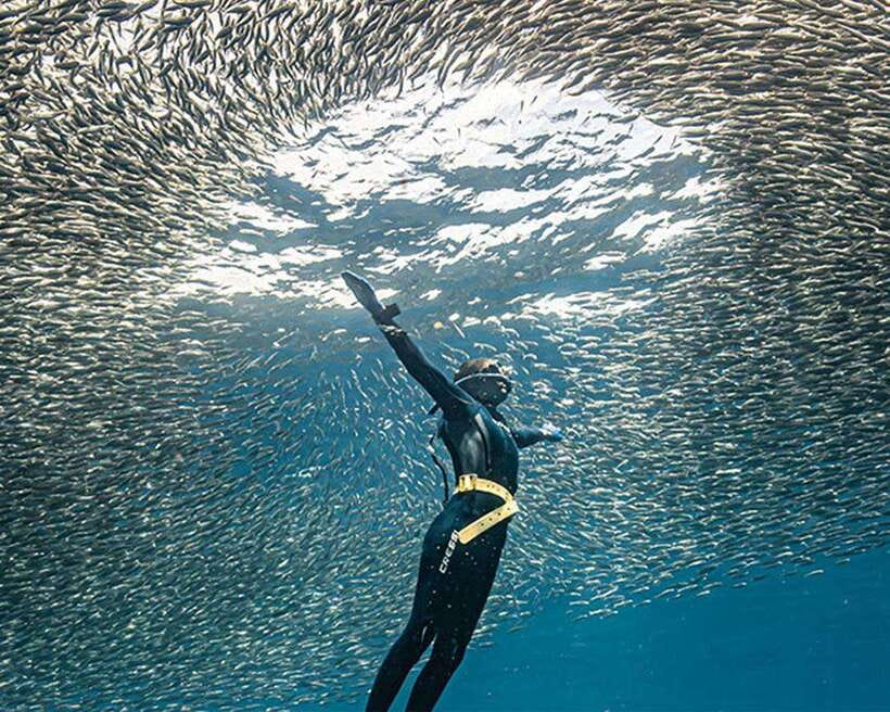 Panglao: Napaling Reef and Sardines Freediving Experience - The short scooter transfer and reef entry