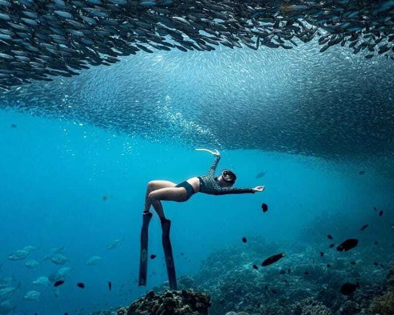 Panglao: Napaling Reef and Sardines Freediving Experience - The coral wall, cracks, and marine life