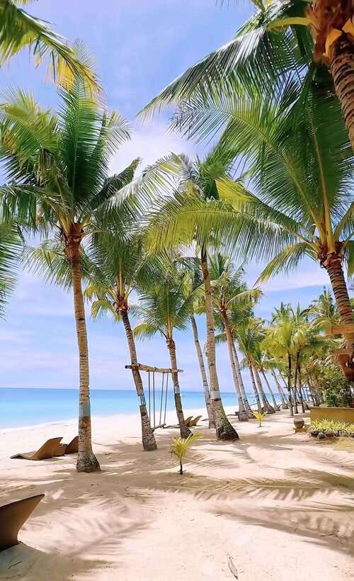 Panglao: Private Cave Pool, Beach & Scenic Day Tour - Choosing Lunch at Bohol Bee Farm