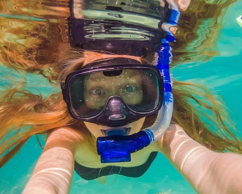 Panglao: Snorkeling at NapalingReef with Sardines Experience - Starting at Freedive Academy Panglao