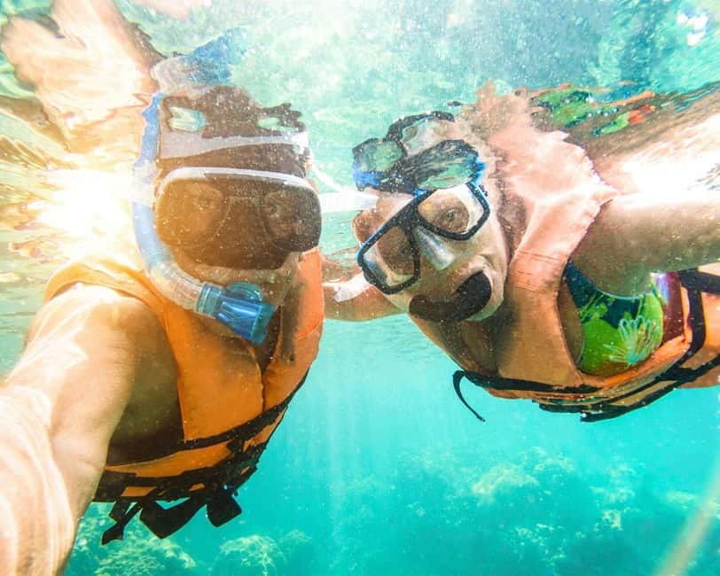 Panglao: Snorkeling at NapalingReef with Sardines Experience - One hour among coral and sardines