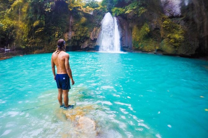 Pescador Island with Sardines & Turtle and Canyoneering in Kawasan Falls - Pescador Island and the famous sardine run