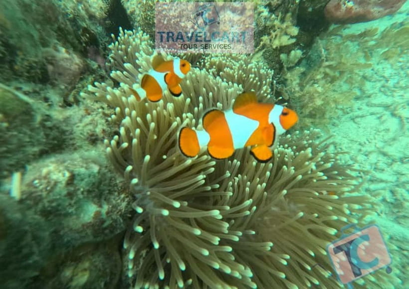 PORT BARTON: Full-day Shared Island Hopping Tour A - Maxima and Exotic Islands: simple beach pleasure