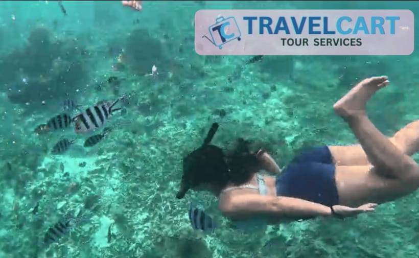 PORT BARTON: Full-day Shared Island Hopping Tour A - Turtle Sanctuary and the conservation message