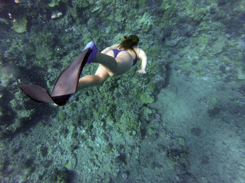Port Barton: Island Hopping to Turtle Spot & Reef with Lunch - Key points to know before you book