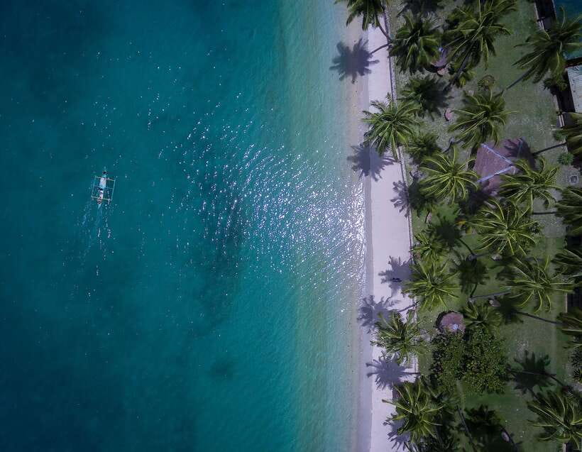 Port Barton: Island Hopping to Turtle Spot & Reef with Lunch - Turtle Spot and the ethics of seeing wild turtles