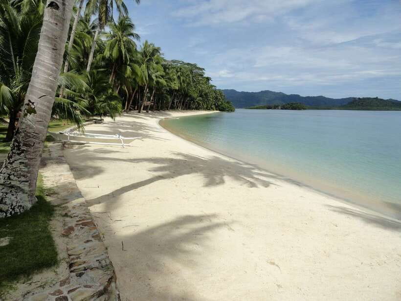Port Barton: Island Hopping to Turtle Spot & Reef with Lunch - Starfish, coral, and the best snorkeling of the day