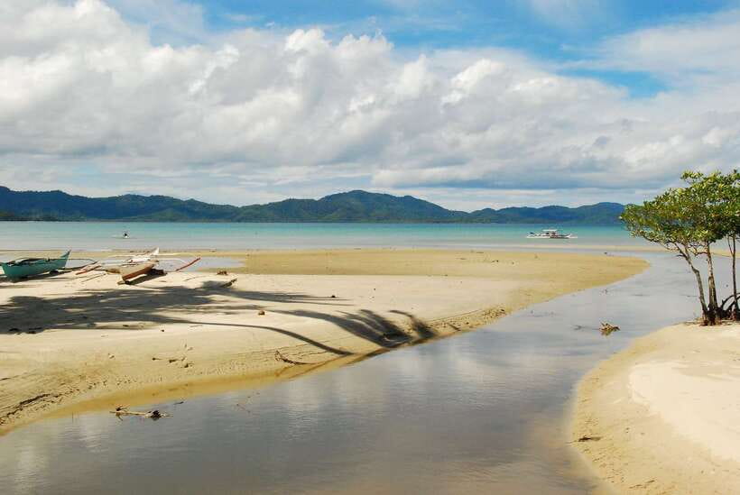Port Barton: Island Hopping to Turtle Spot & Reef with Lunch - Who should book this Port Barton boat trip?
