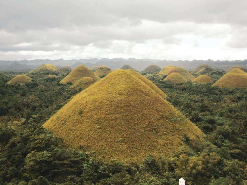 PREMIUM Bohol Eco-Tours: Chocolate hills - Corella Tarsier Sanctuary: a quiet start inland