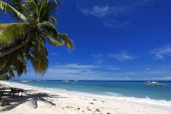 Private Bohol and Chocolate Hills with Loboc River Cruise - Corella’s tarsier refuge