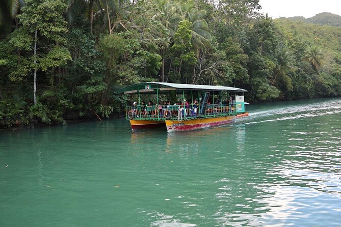 Private Bohol and Chocolate Hills with Loboc River Cruise - Timing, pickup, and practical planning
