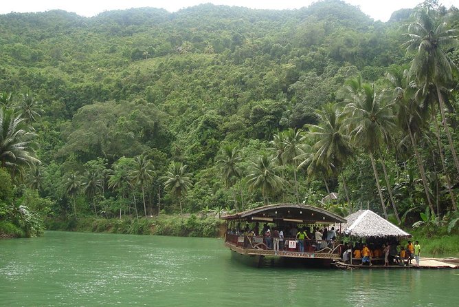 Private Bohol and Chocolate Hills with Loboc River Cruise - The Bilar mahogany forest and Chocolate Hills