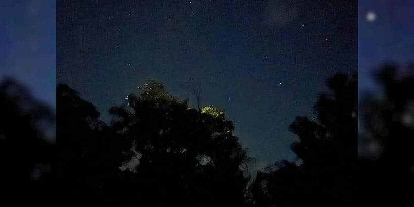 Private Firefly Watching Night Cruise on Bohol Abatan River - Reaching the Abatan River and the firefly station
