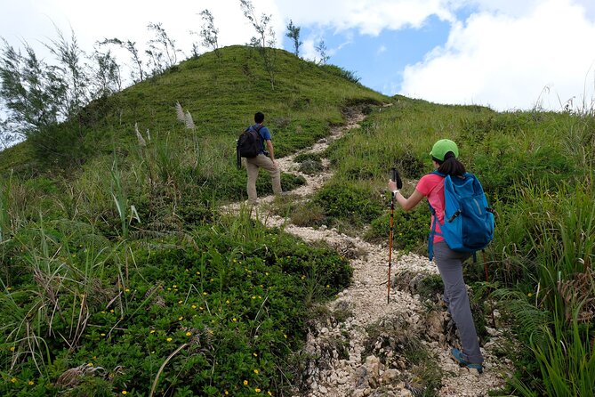 Private Kawasan Falls and Osmena Peak Day Trip from Cebu City - The Private Vehicle Matters on a Cebu Road Day