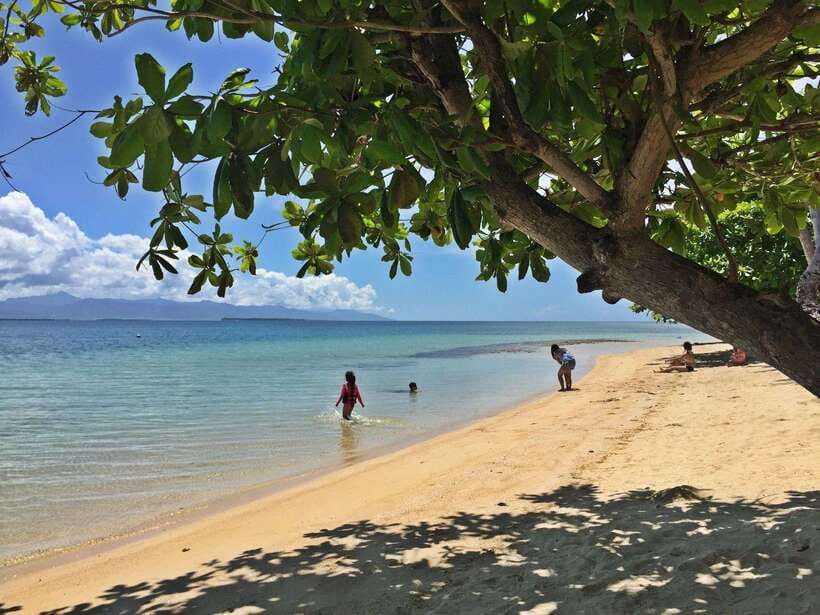 Puerto Princesa: Cowrie Island Guided Day Tour with Meal - The Barbecue Meal Is More Than a Basic Picnic