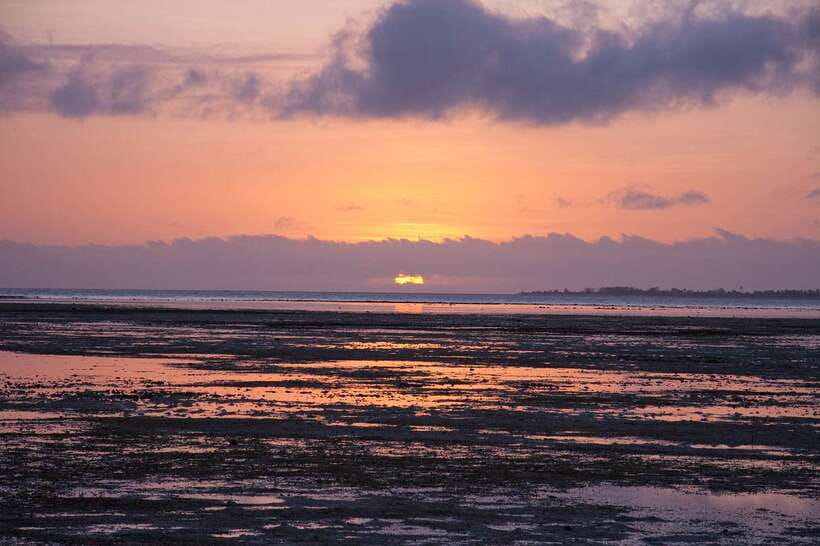 Puerto Princesa: Firefly Watching Bay Cruise with Dinner - Key things to know before you book