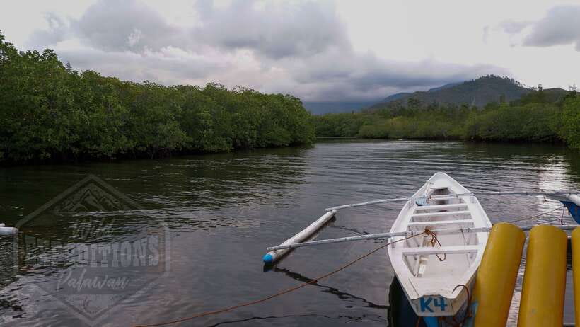 Puerto Princesa: Firefly Watching Paddle Boat Tour & Dinner - Why this makes a good Puerto Princesa evening