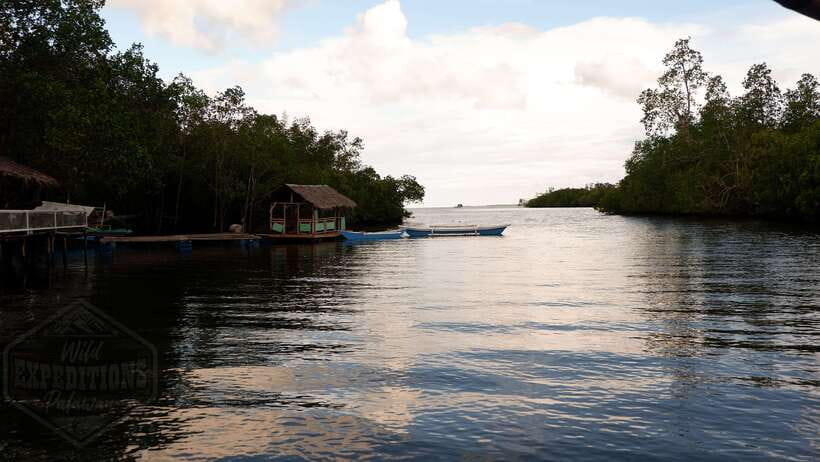 Puerto Princesa: Firefly Watching Paddle Boat Tour & Dinner - Dinner at Swag Restaurant before the river