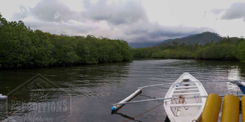 Puerto Princesa: Firefly Watching Paddle Boat Tour & Dinner - The paddle boat and the firefly display
