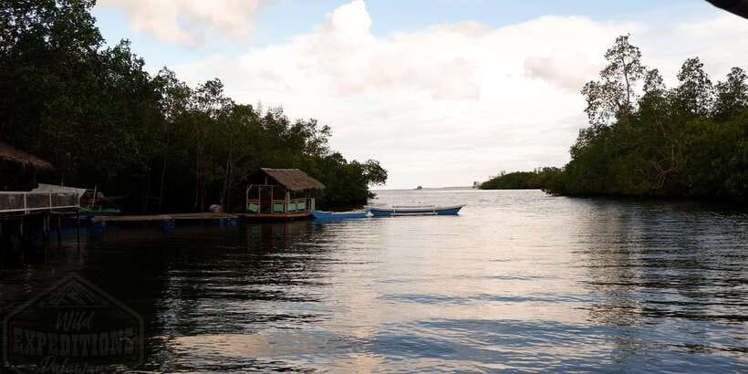 Puerto Princesa: Firefly Watching Paddle Boat Tour & Dinner - The guide, group mood, and pace