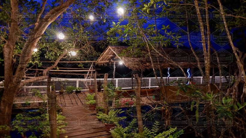 Puerto Princesa: Firefly Watching Paddle Boat Tour & Dinner - Pickup between 5:00 and 6:00 pm