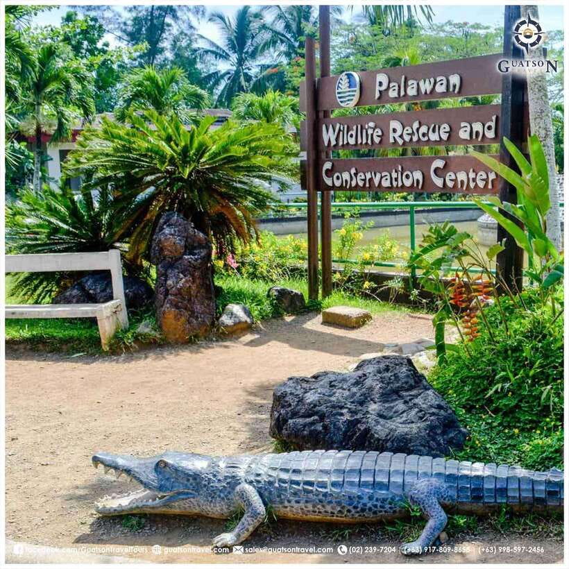 Puerto Princesa Half Day City Tour (shared tour) - Plaza Cuartel and the difficult story of war
