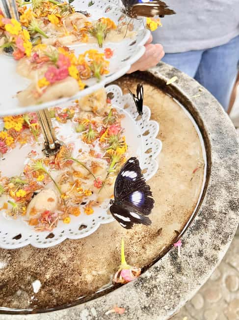 Puerto Princesa: Half Day City Tour with Butterfly Garden - Immaculate Conception Cathedral and Spanish-Era Details