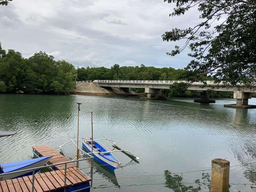 Puerto Princesa: Iwahig Firefly Watching & River Cruise - The 45-minute boat ride through the mangroves