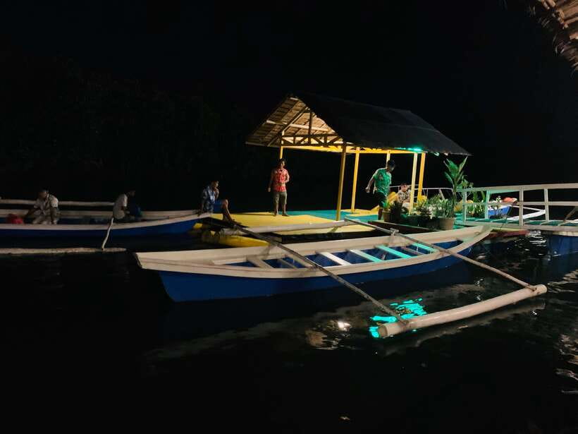 Puerto Princesa: Jungle Firefly Watching Boat Tour & Dinner - Why this evening feels different from a standard Puerto Princesa tour