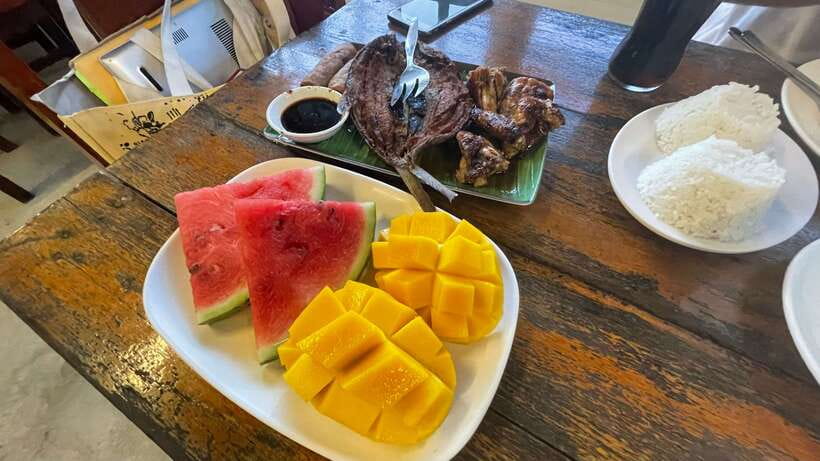 Puerto Princesa: Jungle Firefly Watching Boat Tour & Dinner - Timing, weather, and what to bring