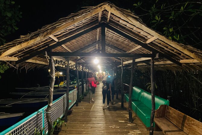 Puerto Princesa Jungle River Firefly Watching - What the river ride actually feels like