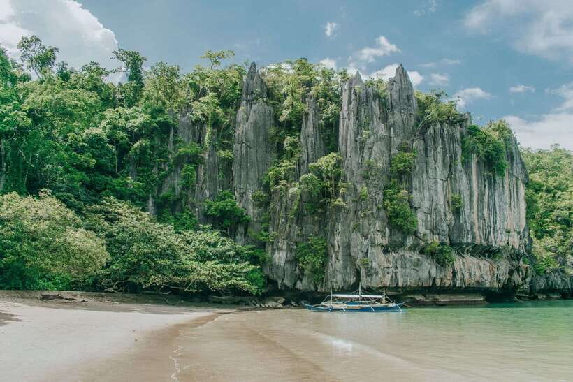 Puerto Princesa: Private Full-Day Tour To Underground River - Wildlife around the Puerto Princesa Underground River