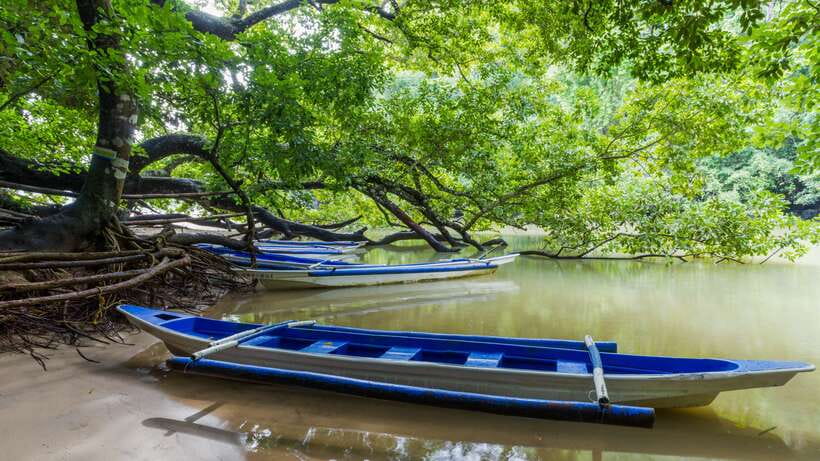 Puerto Princesa Underground River Tour in Palawan - Key points at a glance