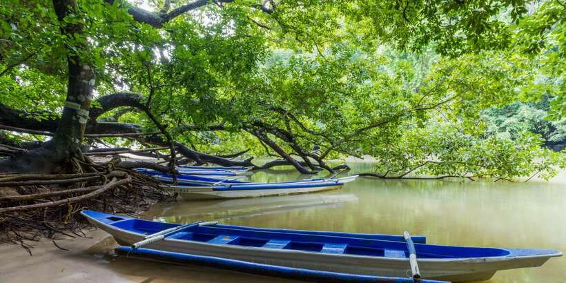 Puerto Princesa Underground River Tour in Palawan - Buffet lunch at Cacaoyan Restaurant