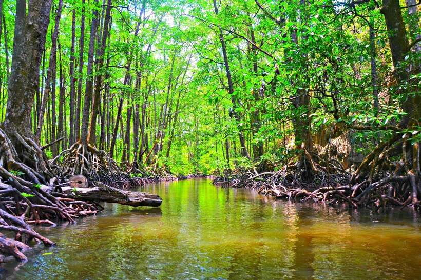 Puerto Princesa: Underground River, Zipline, Paddleboat Tour - Returning to Puerto Princesa