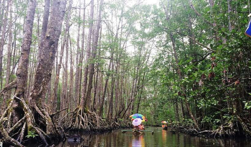Puerto Princesa: Underground River, Zipline, Paddleboat Tour - Who will enjoy this day most