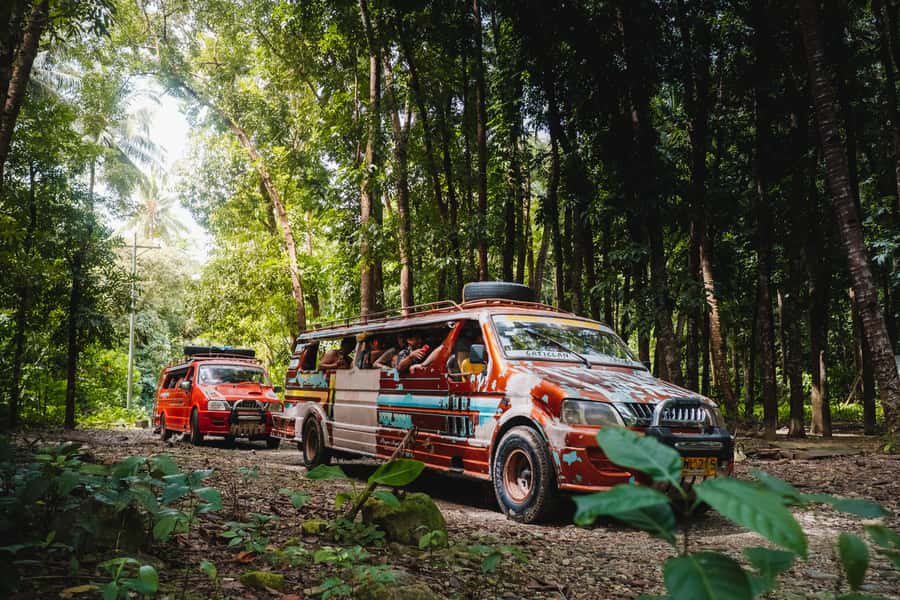 Riverside Jungle Trip & Sunset Boat Party by Haqqy Life - The jungle river stop and what swimming really means