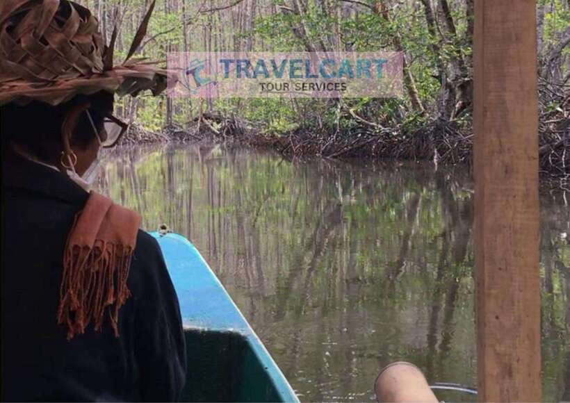 Shared Underground River with Mangrove Paddle Boat & LUNCH - Key points before you book