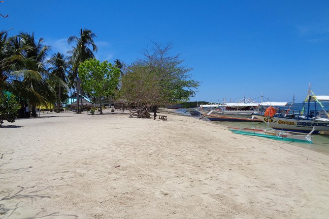 Shore excursion: Puerto Princesa Island Hopping Tour - Lu-Li Island: Swimming, Photos, and Fish Watching