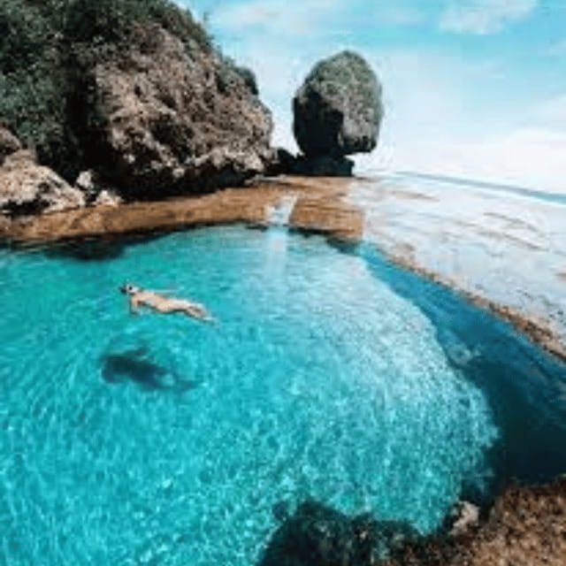 SIARGAO: Land Tour with Maasin River - Coconut Plantation and Coconut Road: Siargao’s Most Recognizable Scenery