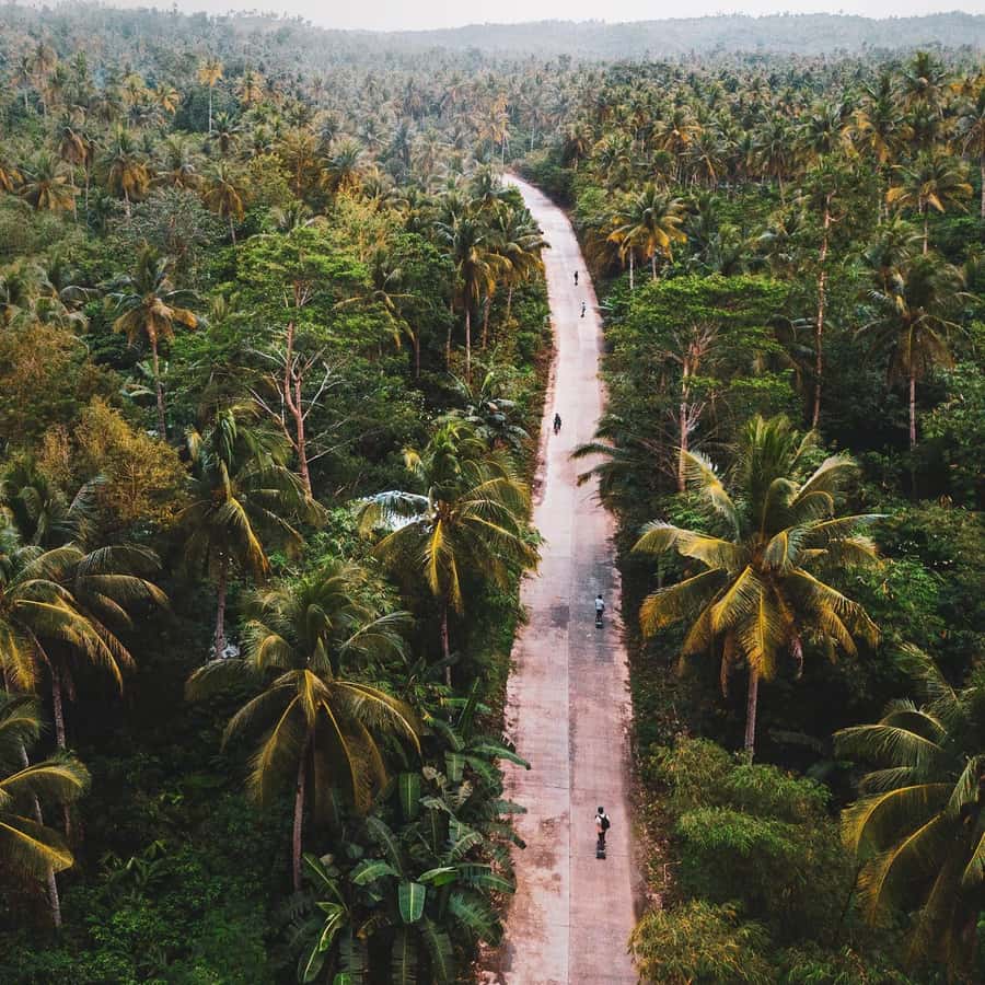 Siargao : Morning 1 Hour Guided Electric Skate Experience - The First 10 Minutes: Safety Before Speed