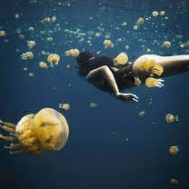 Siargao:Sohoton Island Hopping Tour with Jellyfish Sanctuary - How to prepare for the 10-hour day