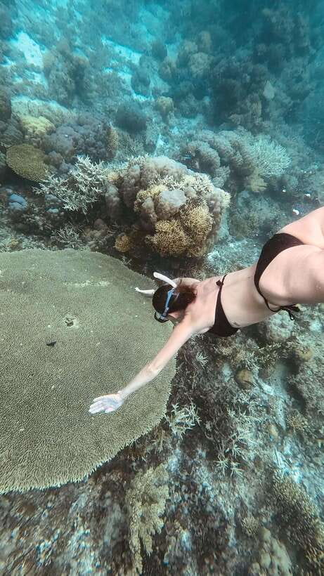 Siquijor: Freediving Adventure with Lunch and Beach Time - Starting in Siquijor With a Private Pickup