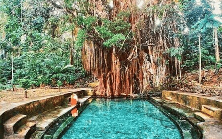 Siquijor Mountain Day Tour From Dumaguete (Private Tour) - Cambugahay Falls and the famous rope swing