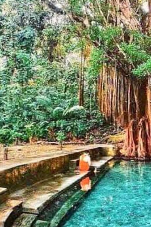 Siquijor Mountain Day Tour From Dumaguete (Private Tour) - The old Balete tree and its natural fish spa