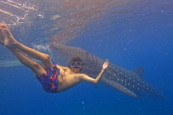 Small Group Moalboal and Badian’s Ultimate Adventure Tour - What the $100 Price Really Buys