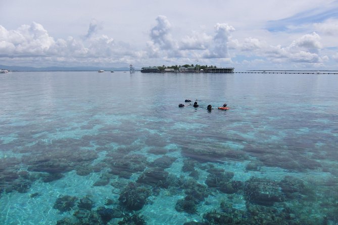 Snorkeling at San Vicente with speed boat - San Vicente’s protected fish sanctuary