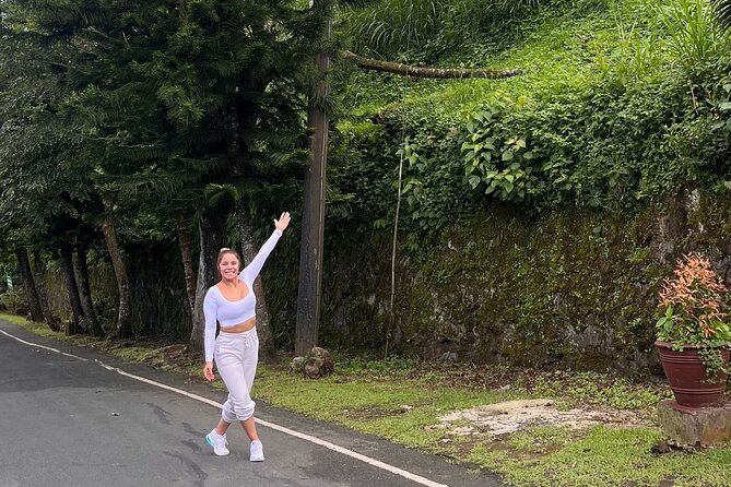 Tagaytay Day Tour sightseeing with Panoramic Taal volcano view - What the private car and guide add