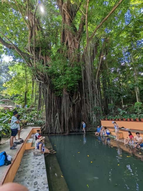 The Best of Siquijor Island Tour - The Old Enchanted Balete Tree and its fish foot spa